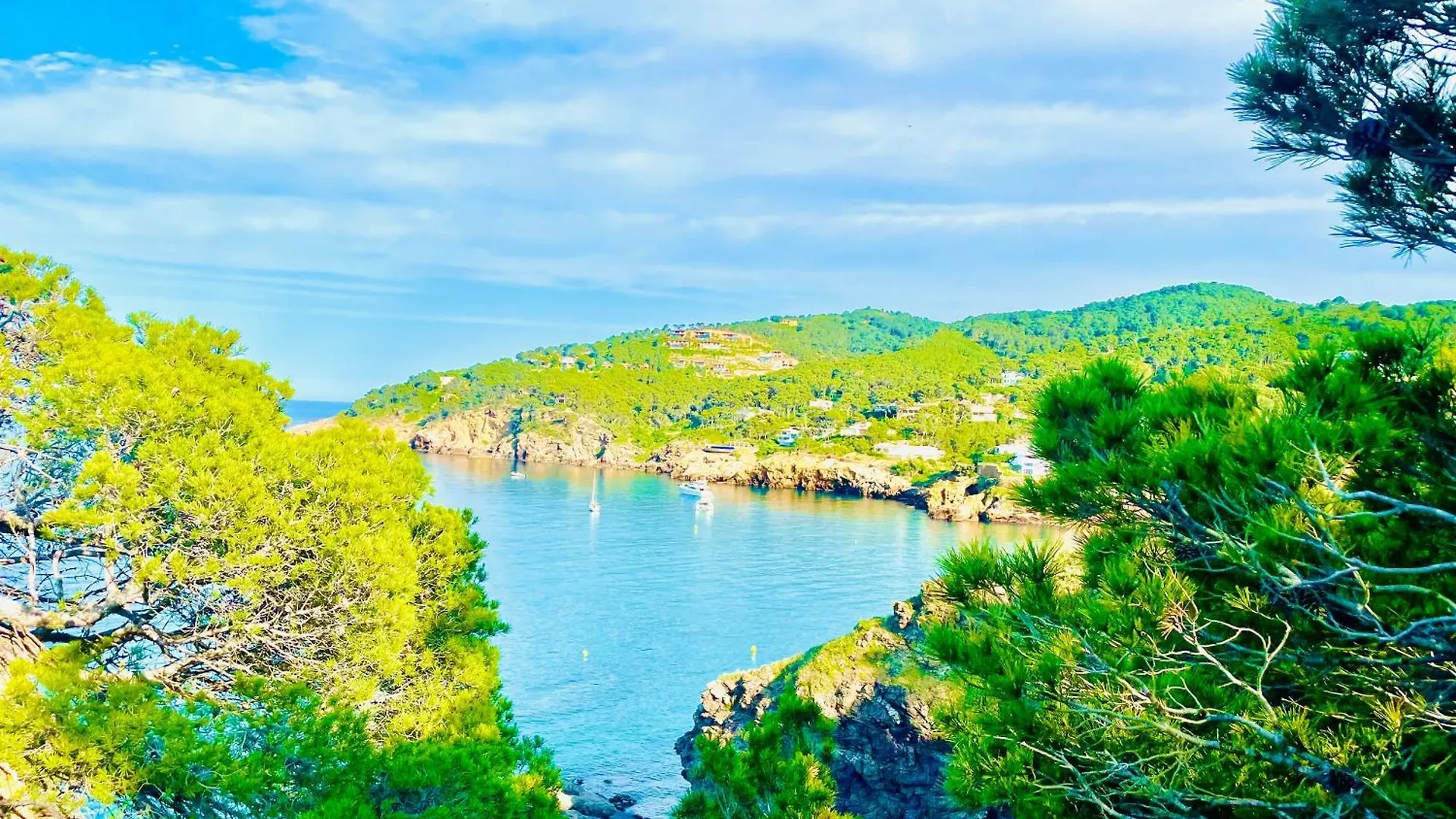 Villa Avec Superbe Vue Mer Пальс 0*,  Испания